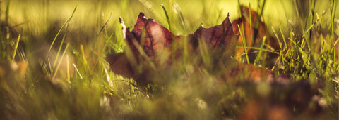 5 Ways to Keep the Summer Magic Alive All Year Long