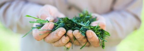 The Amazing Grass Difference