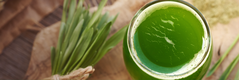 Glass of green juice with a leafy background