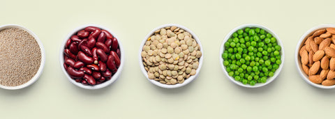 A top view of five bowls, each containing a vegan protein source: chia seeds, red beans, lentils, peas, and almonds.