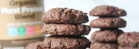 Chocolate Peanut Butter Protein Cookies